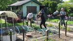 Bilder SWR Fernsehen vom 05.05.2018