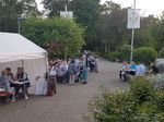 Bilder Klatschmohnfest 2018