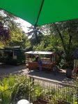Bilder Klatschmohnfest 2018