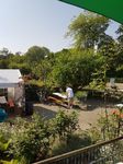 Bilder Klatschmohnfest 2018