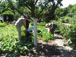 Besuch des SWR am 03.07.2018