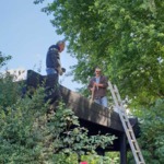 Reparatur Pergola Dach 2018